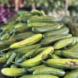 Carson Farmers Market