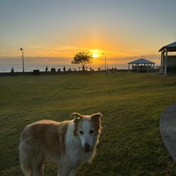 Rod and Kate the nice dog walkers - Leo at sunrise.