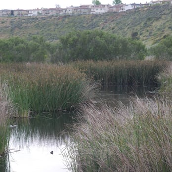 Ballona Wetlands - Ballona Wetlands - Hiking Near Me - Playa Del Rey, California Ballona Wetlands - Ballona Wetlands - Hiking Near Me - Playa Del Rey, California