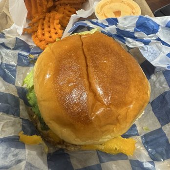 Rogers Burgers - Turkey Burger Sweet potato waffle fries - Chicken Wings Near Me - Brooklyn, New York Rogers Burgers - Turkey Burger Sweet potato waffle fries - Chicken Wings Near Me - Brooklyn, New York