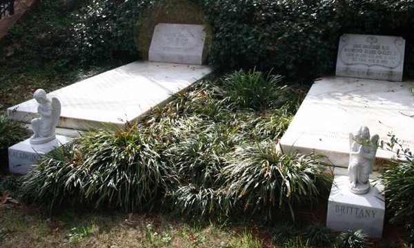 Rose Hill Cemetery 1840 by null