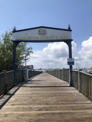 The Beach Club at Charleston Harbor Resort and Marina by null