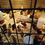 John's Feed 2