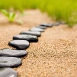 Mindful Training