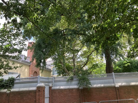 Gracie Mansion Conservancy by null