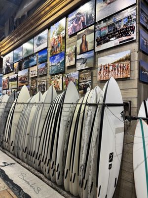 Huntington Surf & Sport by null
