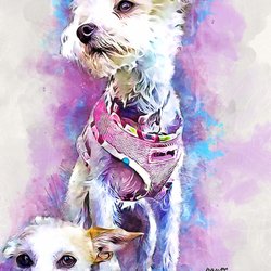 Marrvelous Pet Rescue - Max and mini