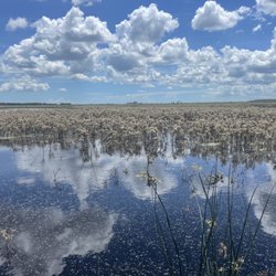 Capt Duke's Airboat Rides