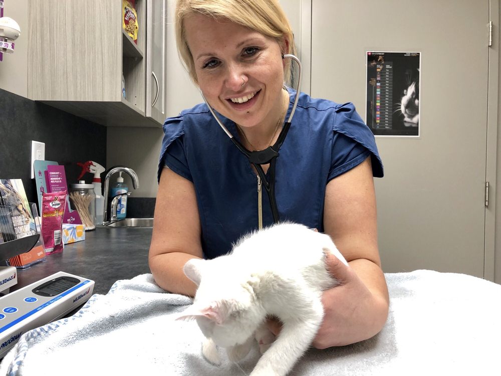 Liberty Village Animal Hospital Image