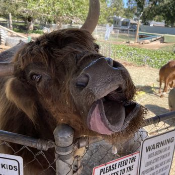 Carl's Damaged Pet Warehouse - Local Flavor Near Me - Gilbert, Arizona