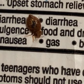 Extended Stay Snyder Motel - Found ticks crawling out the bed , blood on wall . A lot of other bugs . - Hotels Near Me - Snyder, Texas