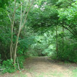 Paradise in Woodville RV Park