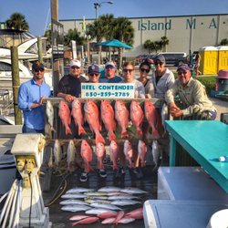 The Reel Contender - This haul was caught in 4 hours on a day when other boats were coming back with only a few fish!!