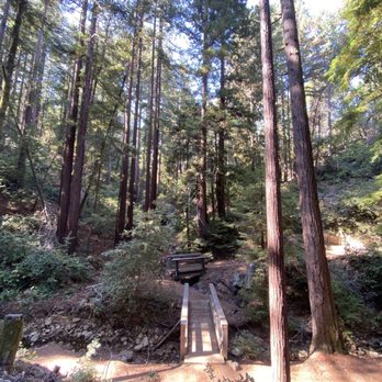 Huddart County Park - Parks Near Me - Woodside, California Huddart County Park - Parks Near Me - Woodside, California