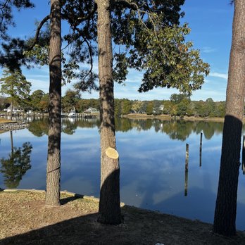 Mountain To Sea Tree Service - A cut that was close the the house was no problem for these guys. - Tree Services Near Me Mountain To Sea Tree Service - A cut that was close the the house was no problem for these guys. - Tree Services Near Me