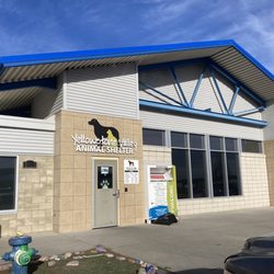 Yellowstone Valley Animal Shelter