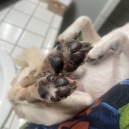 Feet mangled, raw, and scabbed