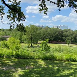 Eleanor Tinsley Park - Park Scenery