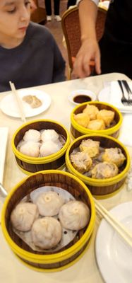 DimSum Seafood Restaurant by null