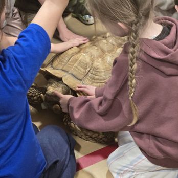 Reptile Man - Educational Services Near Me - Monroe, Washington