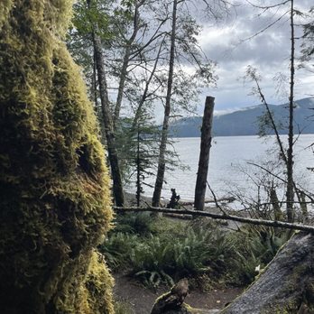Lake Crescent Lodge - Along the shore by the Lodge. - Hotels Near Me - Port Angeles, Washington Lake Crescent Lodge - Along the shore by the Lodge. - Hotels Near Me - Port Angeles, Washington