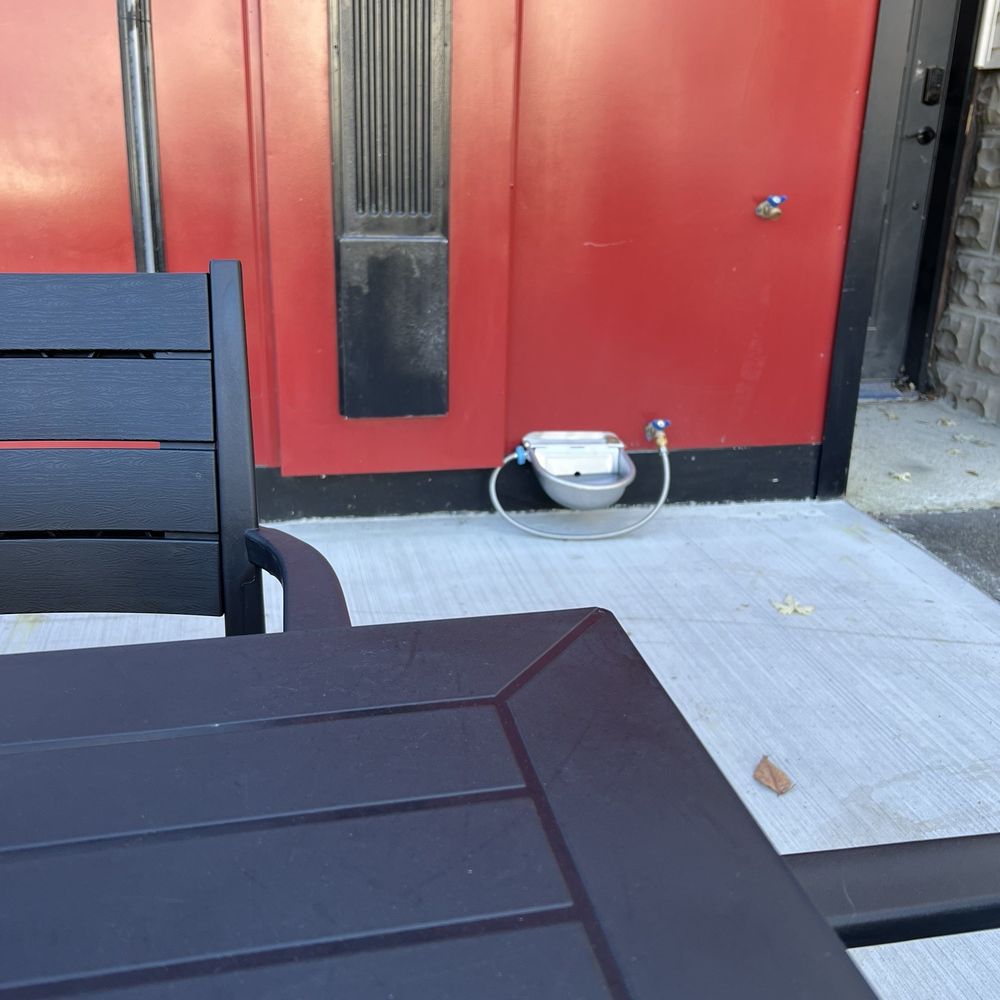 Wired & Inspired - Dog water bowl - Coffee & Tea Near Me - Dunmore, Pennsylvania Wired & Inspired - Dog water bowl - Coffee & Tea Near Me - Dunmore, Pennsylvania