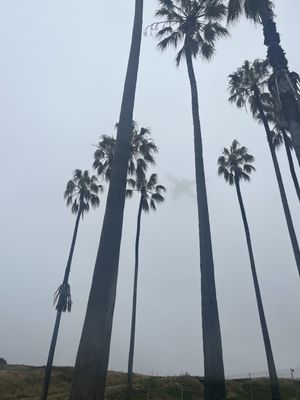 Vista del Mar Park by null