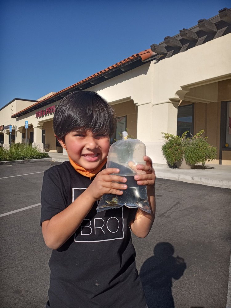 FOOTHILL AQUATIC & PETS Updated October 2024 51 Photos & 52 Reviews