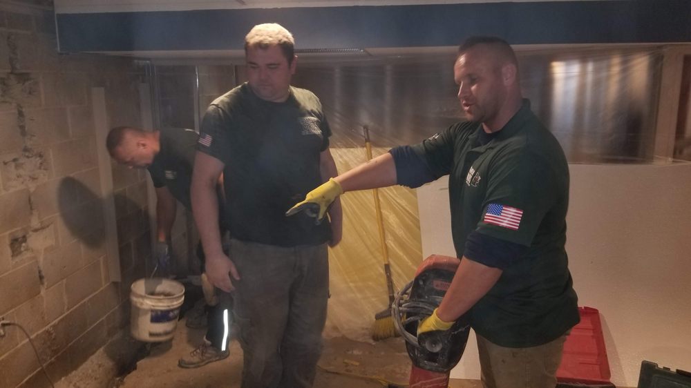 Basement Gurus - mold inspector in Philadelphia, PA