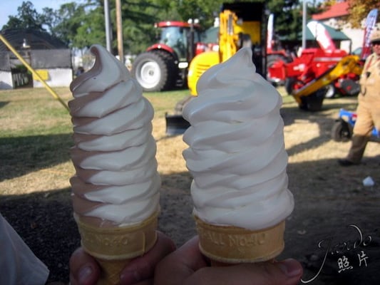 Oregon Dairy Women -Red Barn by null