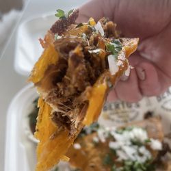 Birria tacos $15