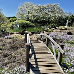 Baxter Gardens
