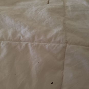 Temecula Creek Inn - What looks like dried blood on comforter - Golf Near Me - Temecula, California