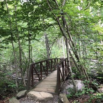 Old Rag Mountain - Hiking Near Me
