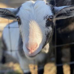 Riverwatch Farm