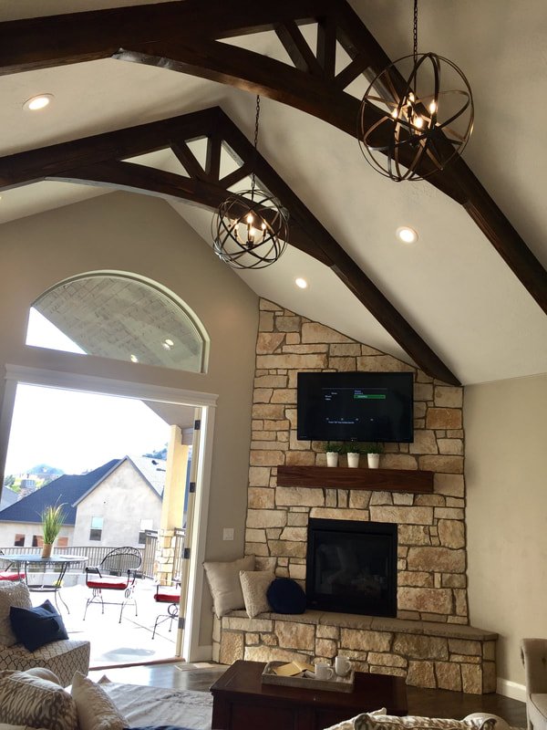 Slide of Bird Tree Building