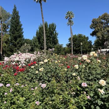 Capitol Park - Parks Near Me - Sacramento, California Capitol Park - Parks Near Me - Sacramento, California