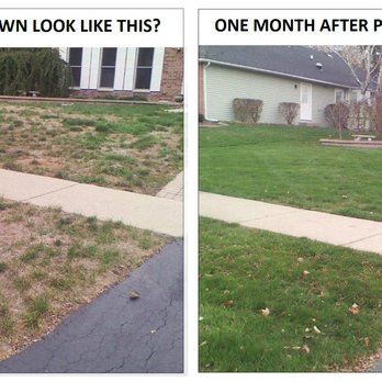 Lawn Doctor - Before and after Powerseeding. - Landscaping Near Me