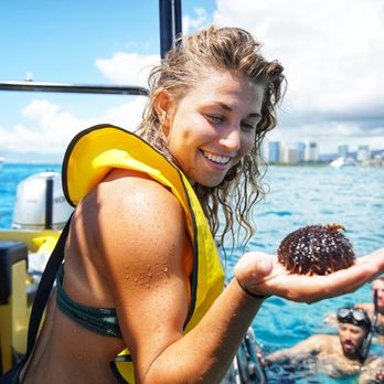 Diamond Head Cruises - Admiring a live sea urchin found by our guides. - Snorkeling Near Me - Honolulu, Hawaii Diamond Head Cruises - Admiring a live sea urchin found by our guides. - Snorkeling Near Me - Honolulu, Hawaii