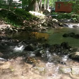 The creek next to sites 136 & 136a. The creek next to sites 136 & 136a.