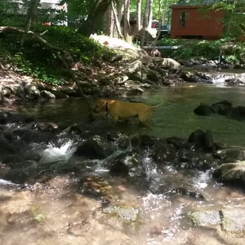 Adventure Bound Camping Resorts - The creek next to sites 136 & 136a. - Campgrounds Near Me - Gatlinburg, Tennessee Adventure Bound Camping Resorts - The creek next to sites 136 & 136a. - Campgrounds Near Me - Gatlinburg, Tennessee