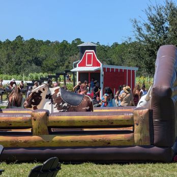 Amber Brooke Farms - Eustis - Mechanical bull was the feature for this week. - Pick Your Own Farms Near Me - Eustis, Florida Amber Brooke Farms - Eustis - Mechanical bull was the feature for this week. - Pick Your Own Farms Near Me - Eustis, Florida