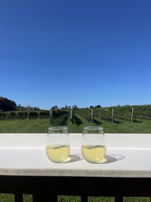 One Woman Wines & Vineyards by null
