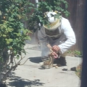 Beecasso Bee Removal - Getting the smoker ready. - Pest Control Near Me - Redondo Beach, California Beecasso Bee Removal - Getting the smoker ready. - Pest Control Near Me - Redondo Beach, California