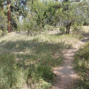 Tajique Campground - Campgrounds Near Me - Estancia, New Mexico Tajique Campground - Campgrounds Near Me - Estancia, New Mexico