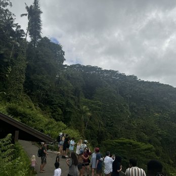 Akaka Falls State Park - Parks Near Me - Honomu, Hawaii Akaka Falls State Park - Parks Near Me - Honomu, Hawaii
