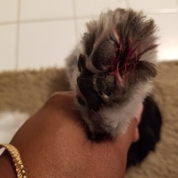 Susie's Professional Pet Grooming - Pet Groomers Near Me - Omaha, Nebraska