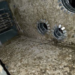Dirty Ducks No More & Dryer Vent