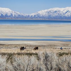 Mokwheel by Antelope E-Bikes - Explore trails with with amazing views