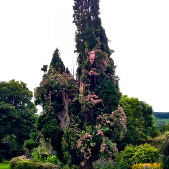 Killruddery House and Gardens - Coffee & Tea Near Me - Bray, WW